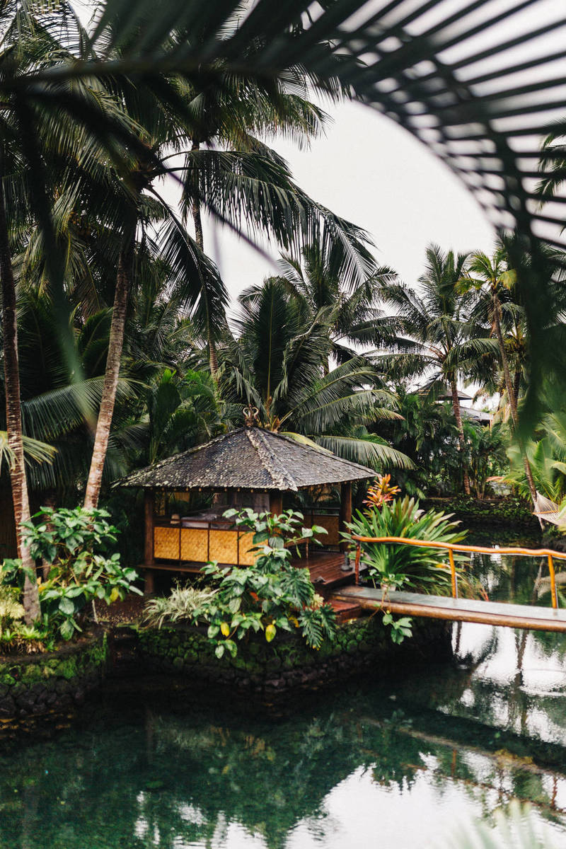 Luxury Retail Giants See Portfolio Revenues Reshuffle